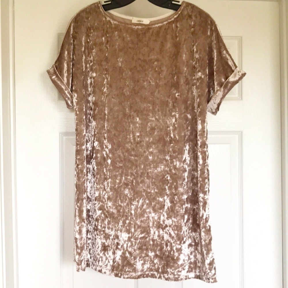 EUC Cherish Champagne Crushed Velvet Tee in Medium